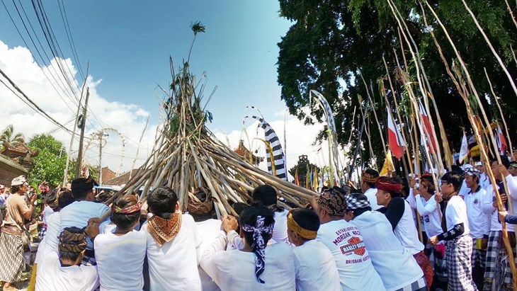 Mekotek, Tradisi Tolak Bala Masyarakat Mengwi Bali