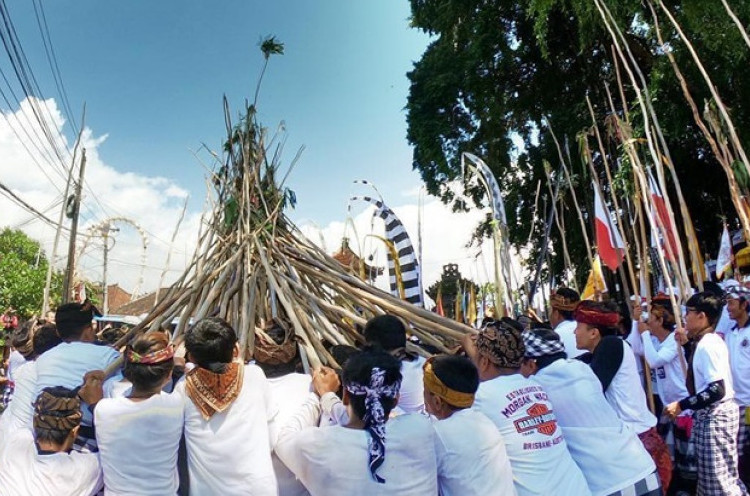 Mekotek, Tradisi Tolak Bala Masyarakat Mengwi Bali