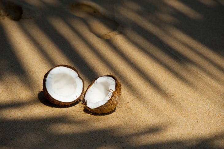 kelapa