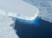 Kiamat Es Greenland dan Antartika: 12,5 Triliun Ton Lenyap, Ini Dampak Mengerikannya