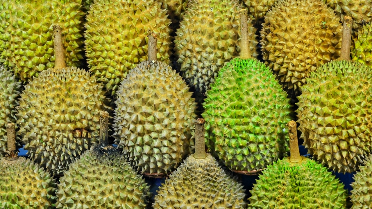 Limbah Durian Bisa Jadi Alternatif Superkapasitor Listrik