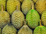 Limbah Durian Bisa Jadi Alternatif Superkapasitor Listrik