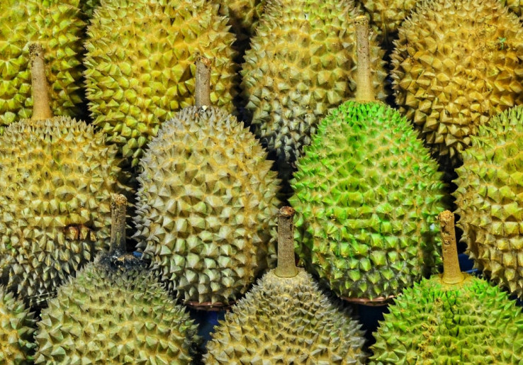 Hari Durian Nasional Malaysia Diusulkan Tiap 7 Juli, Bareng Momen Panen Raya