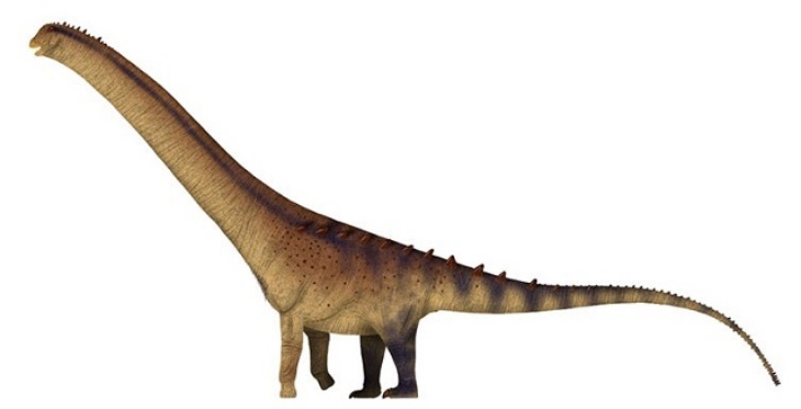 Fosil Dinosaurus Terbesar di Dunia Dipamerkan di Museum London