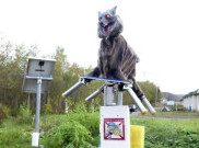 'Monster Wolf', Robot Serigala untuk Menakuti Beruang Liar