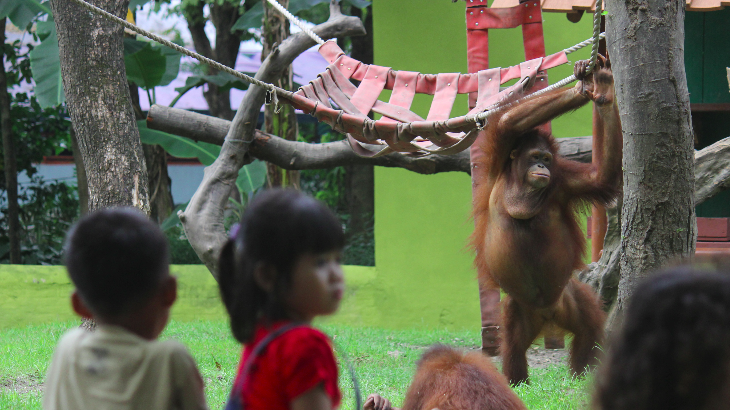 Pantangan yang Harus Dipenuhi Saat Ajak Anak ke Kebun Binatang