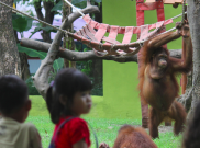 Pantangan yang Harus Dipenuhi Saat Ajak Anak ke Kebun Binatang
