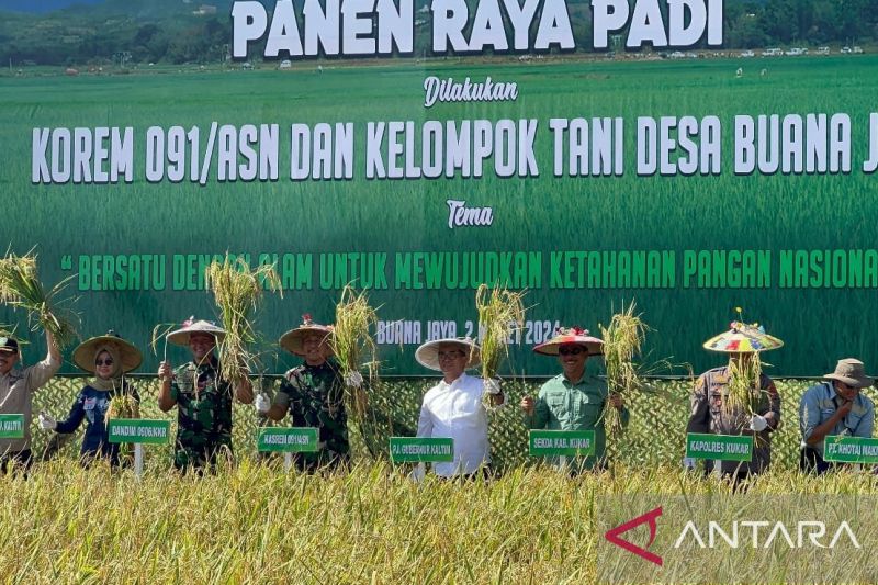 Produksi Beras Hasil Panen Raya Maret-April 2024 Capai 8,46 Juta Ton