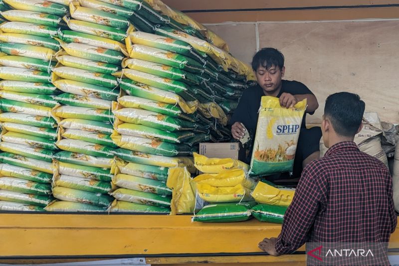 Jokowi Tegaskan Harga Beras Naik Secara Global