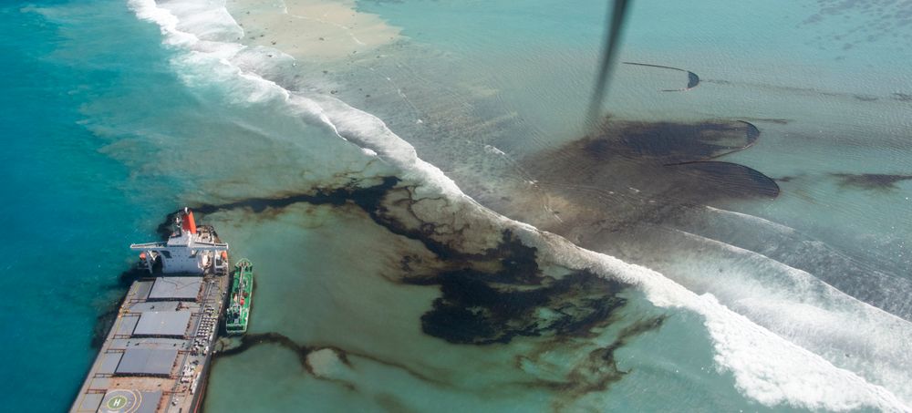 Tumpahan minyak lebih dari 1000 ton mencemari ekosistem laut. (Foto: The Publics Radio)