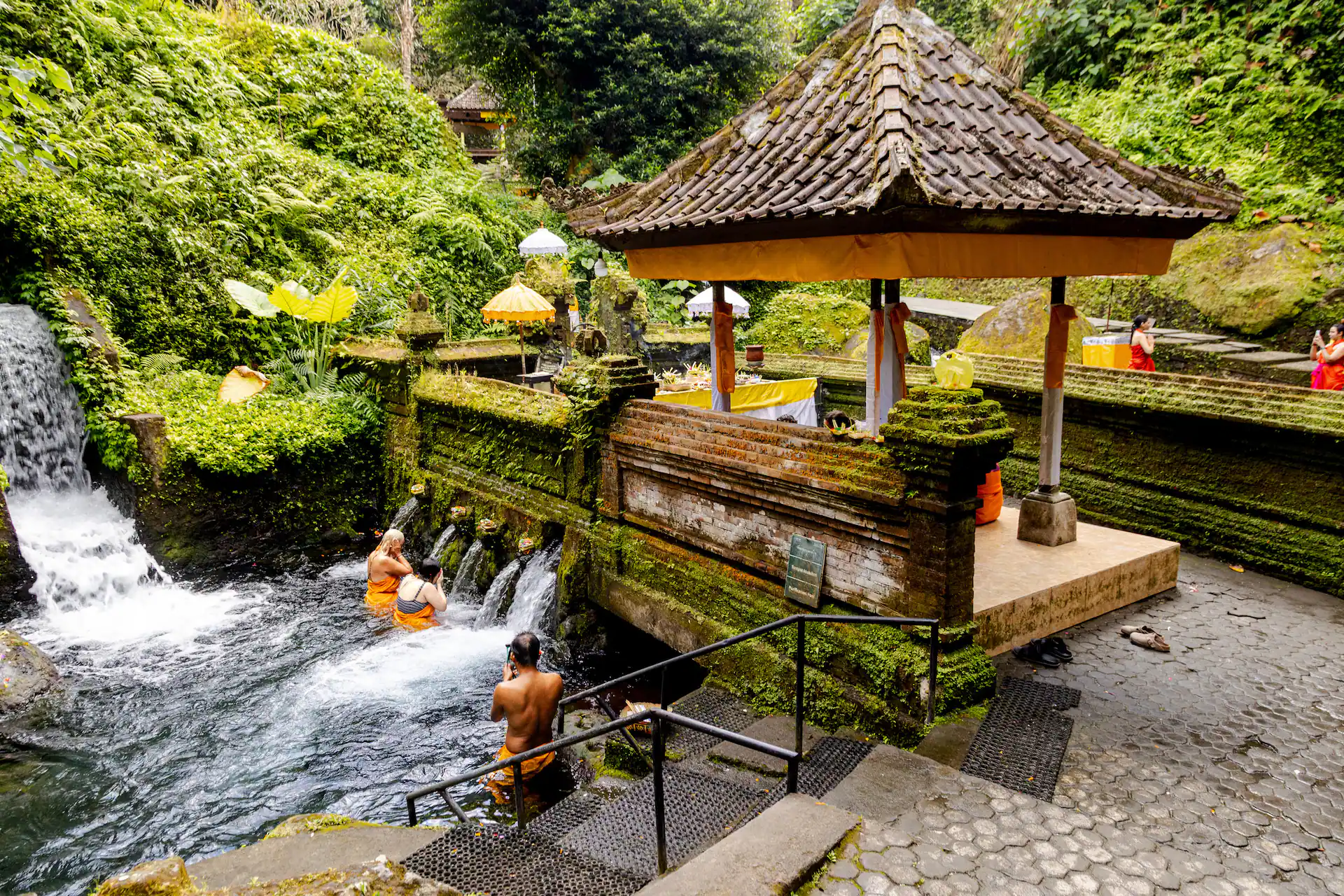 Menikmati Jeda di Tengah Alam, Cobain Airbnb Experiences Bertema Alam dan Aktivitas Outdoor di Bali