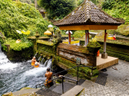 Menikmati Jeda di Tengah Alam, Cobain Airbnb Experiences Bertema Alam dan Aktivitas Outdoor di Bali