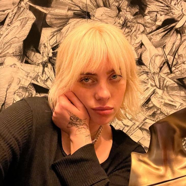 Billie Eilish Sering Merasakan Social Anxiety saat di Studio Musik