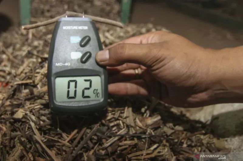 Biomassa Indonesia Tembus Pasar Jepang, Raup Transaksi Rp 1,04 Triliun