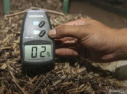 Biomassa Indonesia Tembus Pasar Jepang, Raup Transaksi Rp 1,04 Triliun