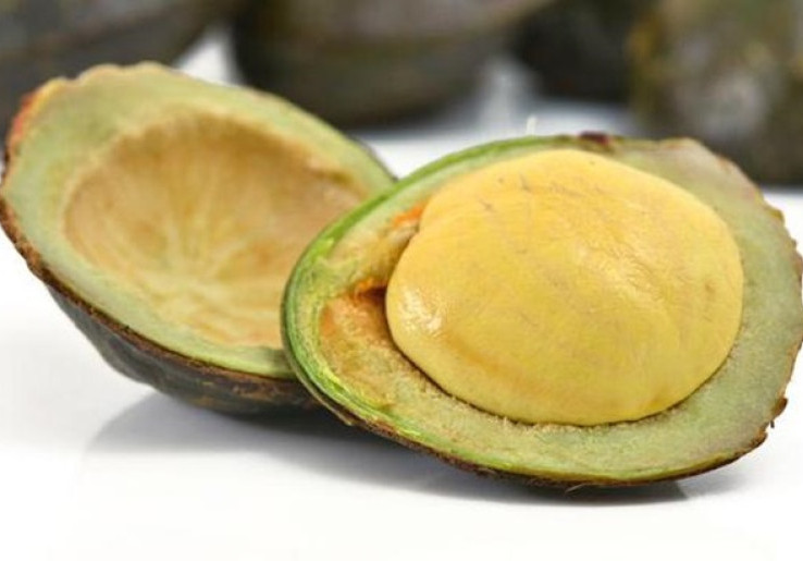 Jengkol, 'si Bau' yang Kaya Manfaat