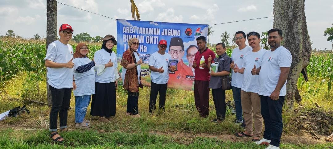 GNTI Bersiap Panen Raya 1.500 Hektare Jagung, Dukung Ketahanan Pangan Nasional
