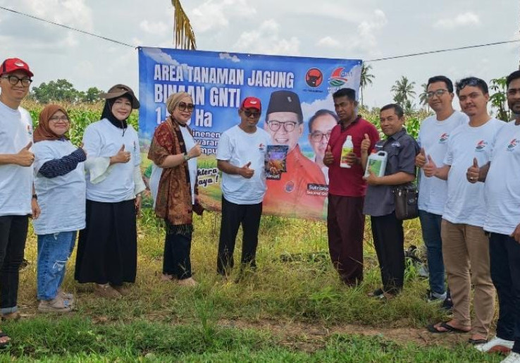 GNTI Bersiap Panen Raya 1.500 Hektare Jagung, Dukung Ketahanan Pangan Nasional