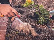 Memulai Berkebun untuk Mengobati Anxiety