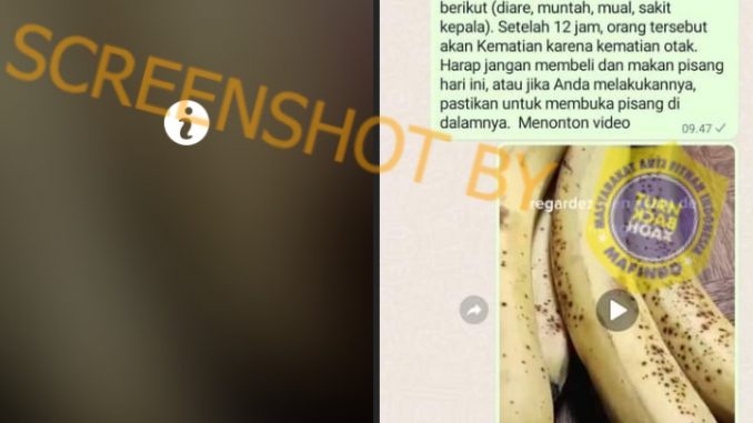 [HOAKS atau FAKTA]: Kiriman Pisang Dari Somalia Mengandung Cacing