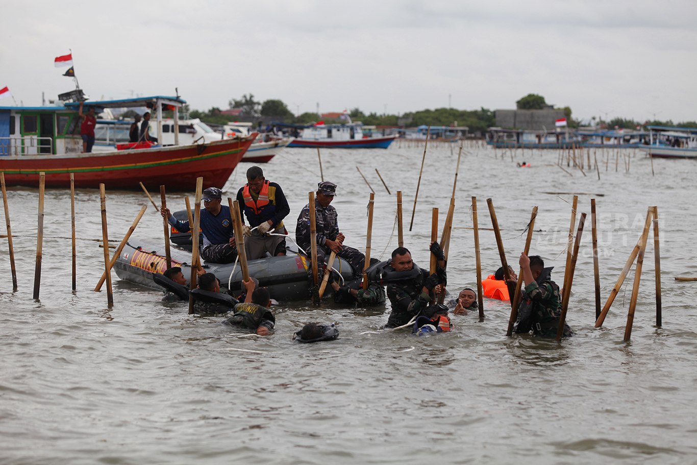 Aksi Pasukan Katak Marinir Cabut Pagar Laut Pesisir Utara Kabupaten Tangerang