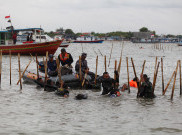 Aksi Pasukan Katak Marinir Cabut Pagar Laut Pesisir Utara Kabupaten Tangerang 