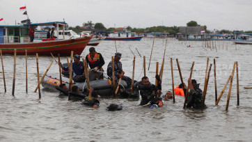 Aksi Pasukan Katak Marinir Cabut Pagar Laut Pesisir Utara Kabupaten Tangerang 