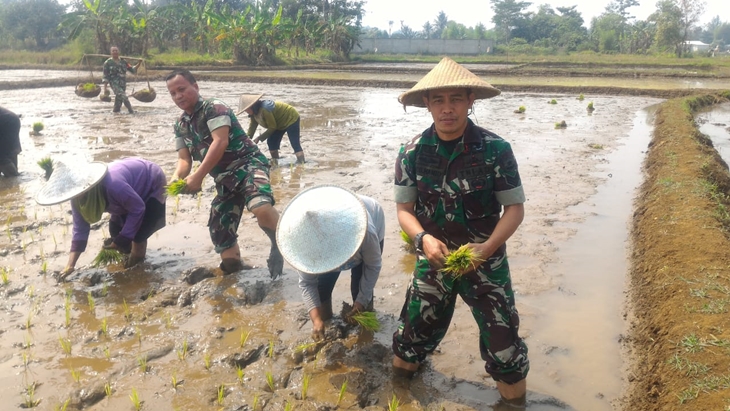 Bantu Swasembada Pangan Tani, ini yang Dilakukan Kodim 0508/Depok