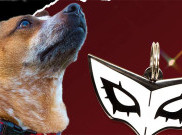 Pawsonify x Persona 5 Hadirkan Kalung untuk Anabulmu
