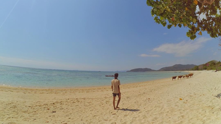 Menelusuri Keindahan Pantai-Pantai Sumbawa Barat, dari Jelenga hingga Poto Batu