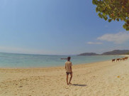 Menelusuri Keindahan Pantai-Pantai Sumbawa Barat, dari Jelenga hingga Poto Batu