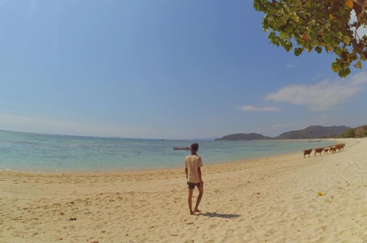 Menelusuri Keindahan Pantai-Pantai Sumbawa Barat, dari Jelenga hingga Poto Batu