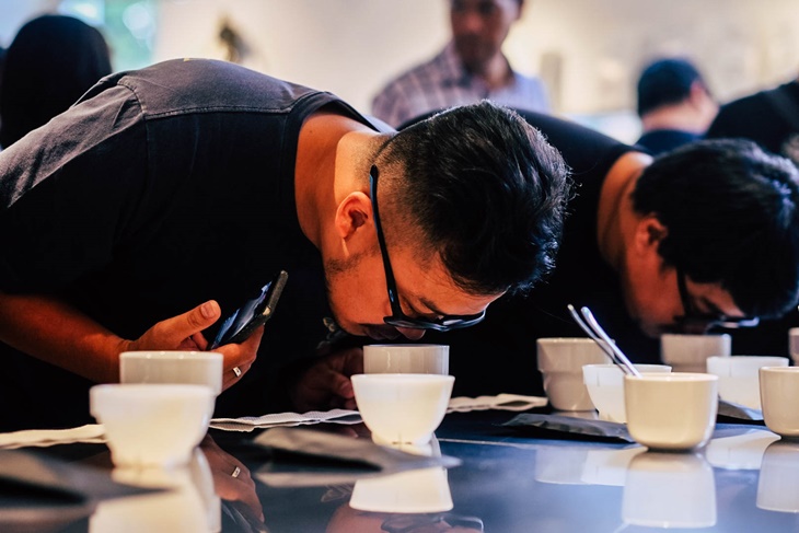 cupping kopi