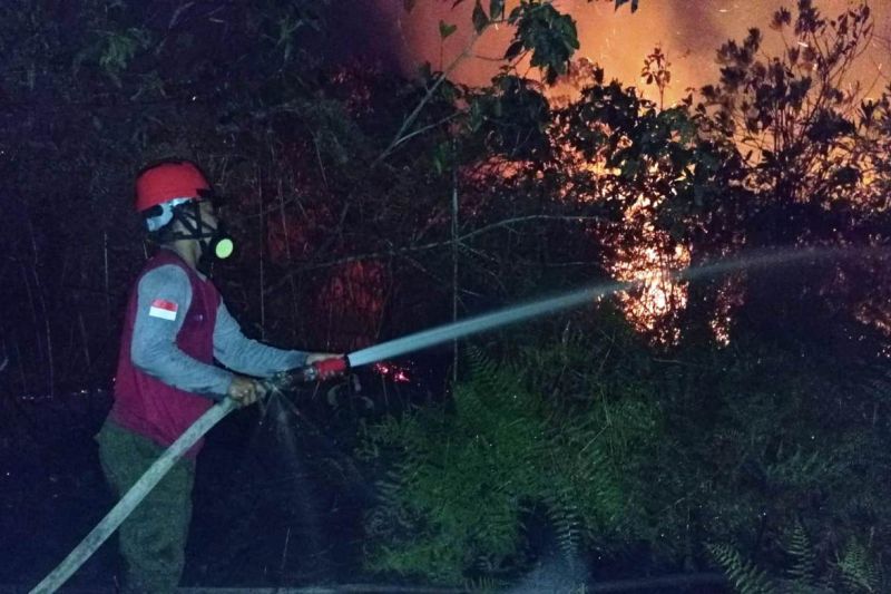 BNPB Fokuskan Pemadaman Karhutla Lewat Teknologi Modifikasi Cuaca