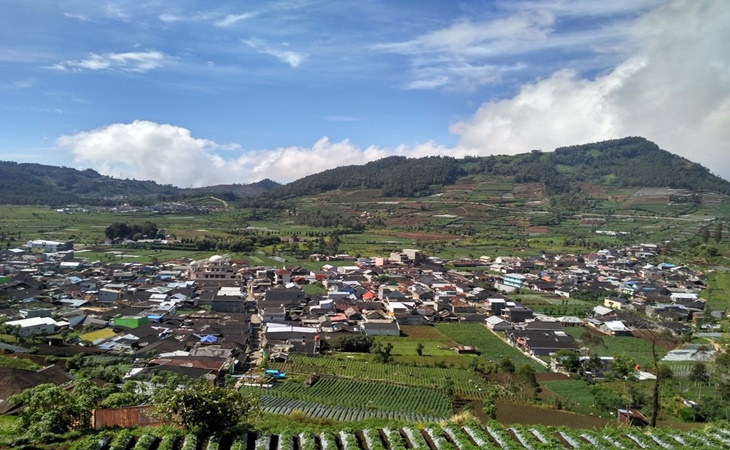 Bermula dari Pokdarwis, Kini Desa Wisata Dieng Kulon Dikenal Mancanegara