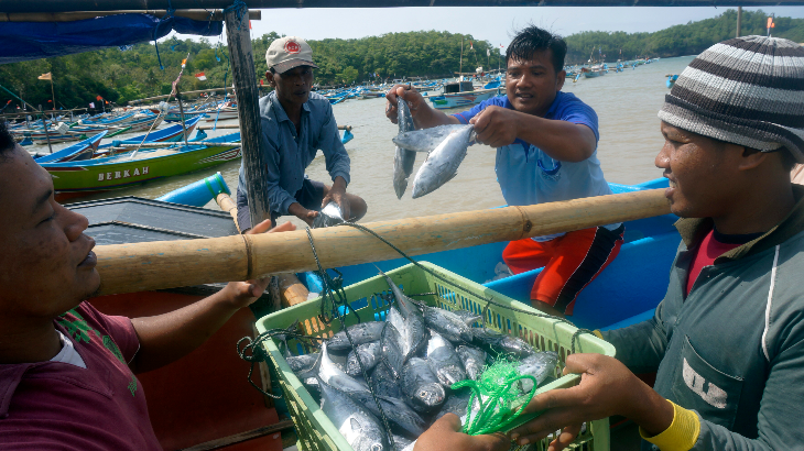 Aktivitas Lelang Ikan di Pekalongan Lumpuh, Ini Gara-garanya