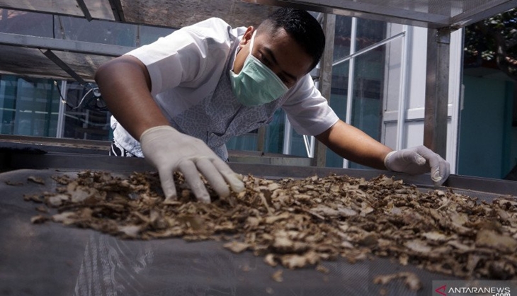 Di Tengah Pandemi COVID-19, Ekspor Makanan Olahan Indonesia Naik 7,9 Persen