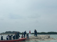 Mangrove dan Terumbu Karang di Pulau Biawak Dirusak, KLH Dalami Dampak dan Langkah Perbaikan