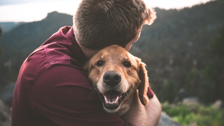 Jenis-jenis Anjing yang Punya Bulu Minim, Cocok untuk yang Alergi