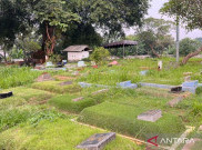 Krisis Lahan Kuburan di Jakarta: Jarak Antar Makam Cuma 20 Cm, Jasad Baru Harus Rela 'Numpang' Sampai Tiga Lapis dalam Satu Lubang