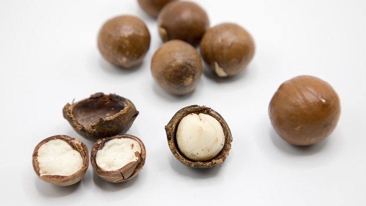 Minyak Macadamia untuk Kulit Kepala yang Sehat