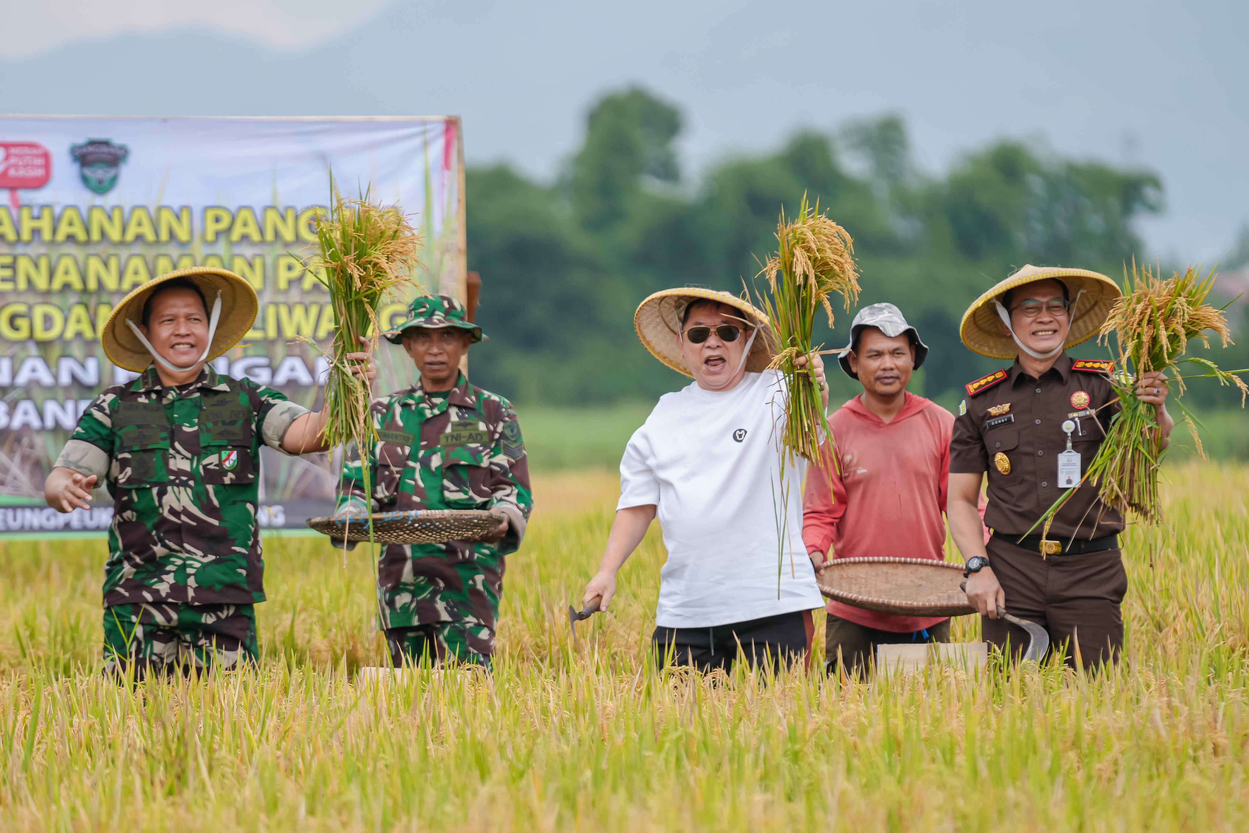 Bersama TNI AD, Jerry Hermawan Lo Bangunkan Lahan Tidur 4 Tahun, Produksi Bisa Meningkat 4 Kali Lipat