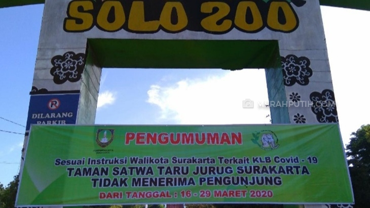  Pandemi COVID-19, Pakan Ratusan Hewan TSTJ Hanya Cukup Sampai Juni