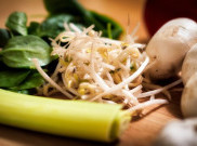 Murah dan Enak, Taoge Ternyata Punya Manfaat Menakjubkan