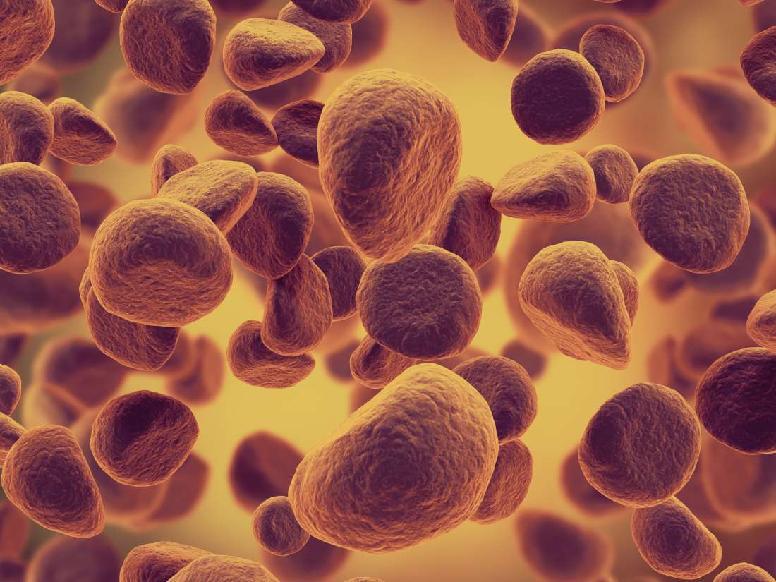 Memar Tak Kunjung Sembuh? Hati-Hati, Bisa Jadi Ini Penyebabnya