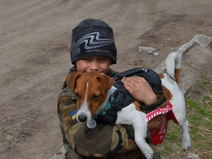 Patron, Anjing Pelacak Ranjau Dianugerahi Medali oleh Presiden Ukraina