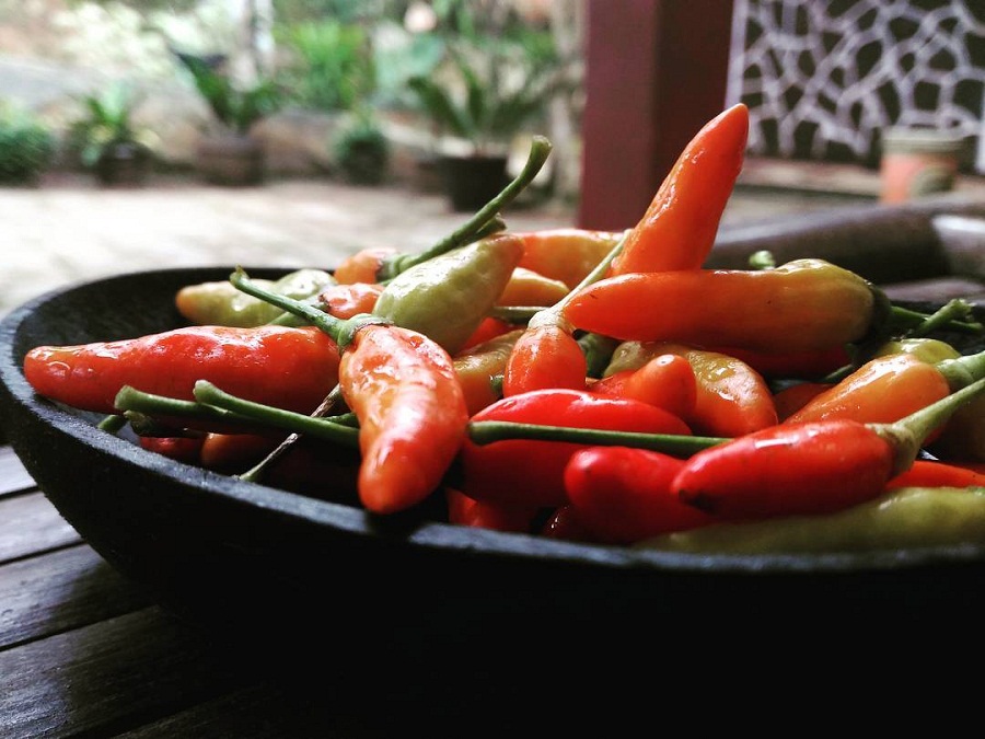 10 Manfaat Mengonsumsi Cabai bagi Kesehatan
