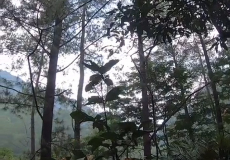 Beli Tiket Tahura Djuanda Bandung Bisa Lewat Aplikasi Sapawarga