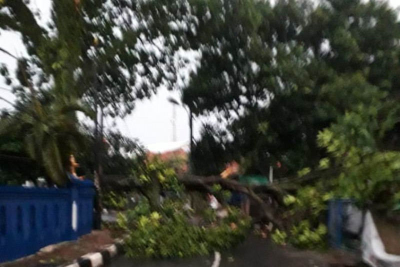 Diterjang Hujan Deras, Depok Tambah Anggaran Bencana Rp 77 Miliar 