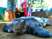 Geliat Perekonomian Masyarakat di Objek Wisata Kura-Kura Belawa Cirebon